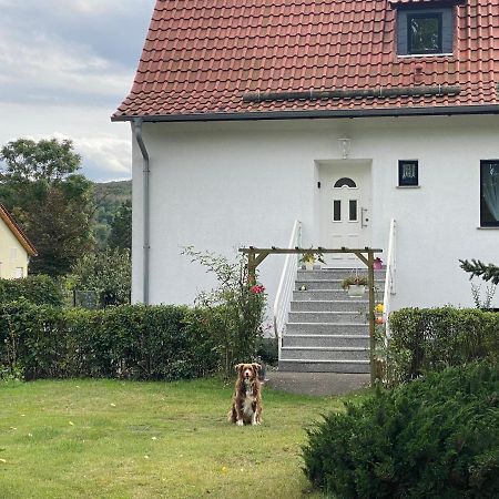 Ferienhaus Am Muehlgraben Thale Exteriör bild