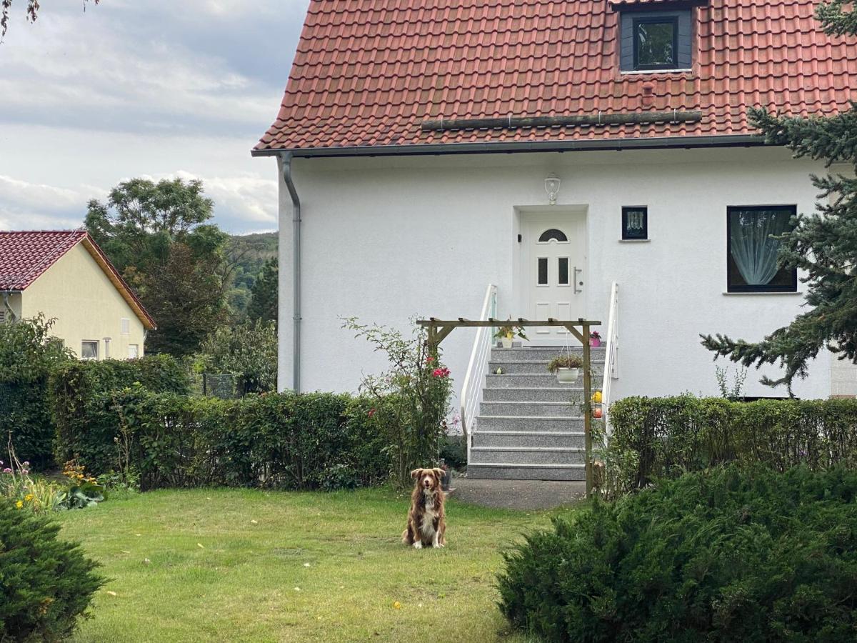 Ferienhaus Am Muehlgraben Thale Exteriör bild