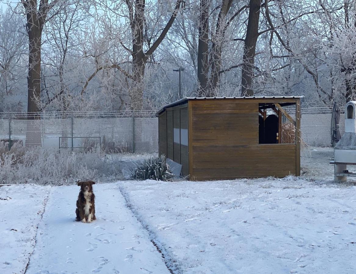Ferienhaus Am Muehlgraben Thale Exteriör bild