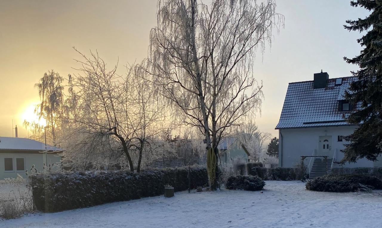 Ferienhaus Am Muehlgraben Thale Exteriör bild