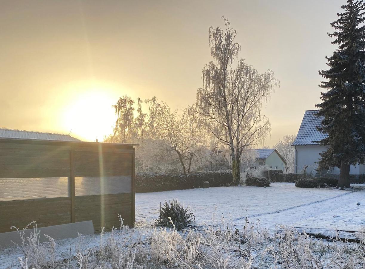 Ferienhaus Am Muehlgraben Thale Exteriör bild
