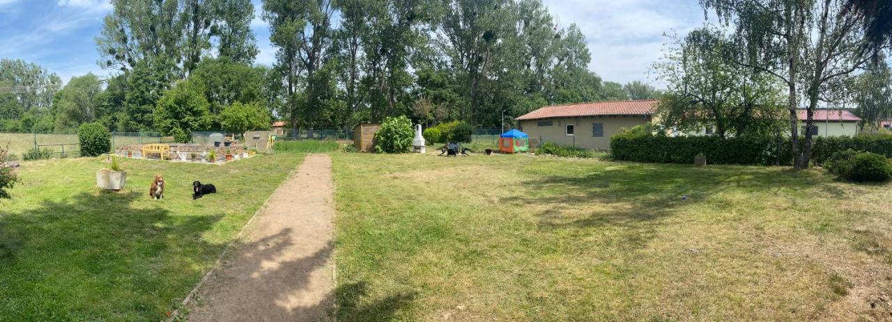 Ferienhaus Am Muehlgraben Thale Exteriör bild