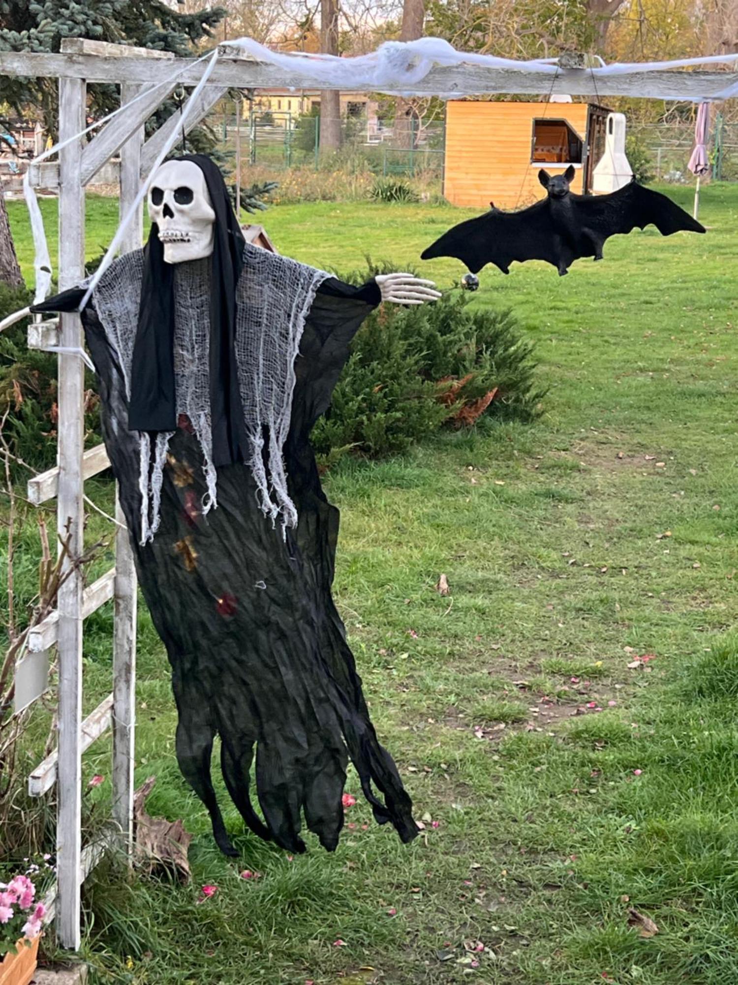 Ferienhaus Am Muehlgraben Thale Exteriör bild