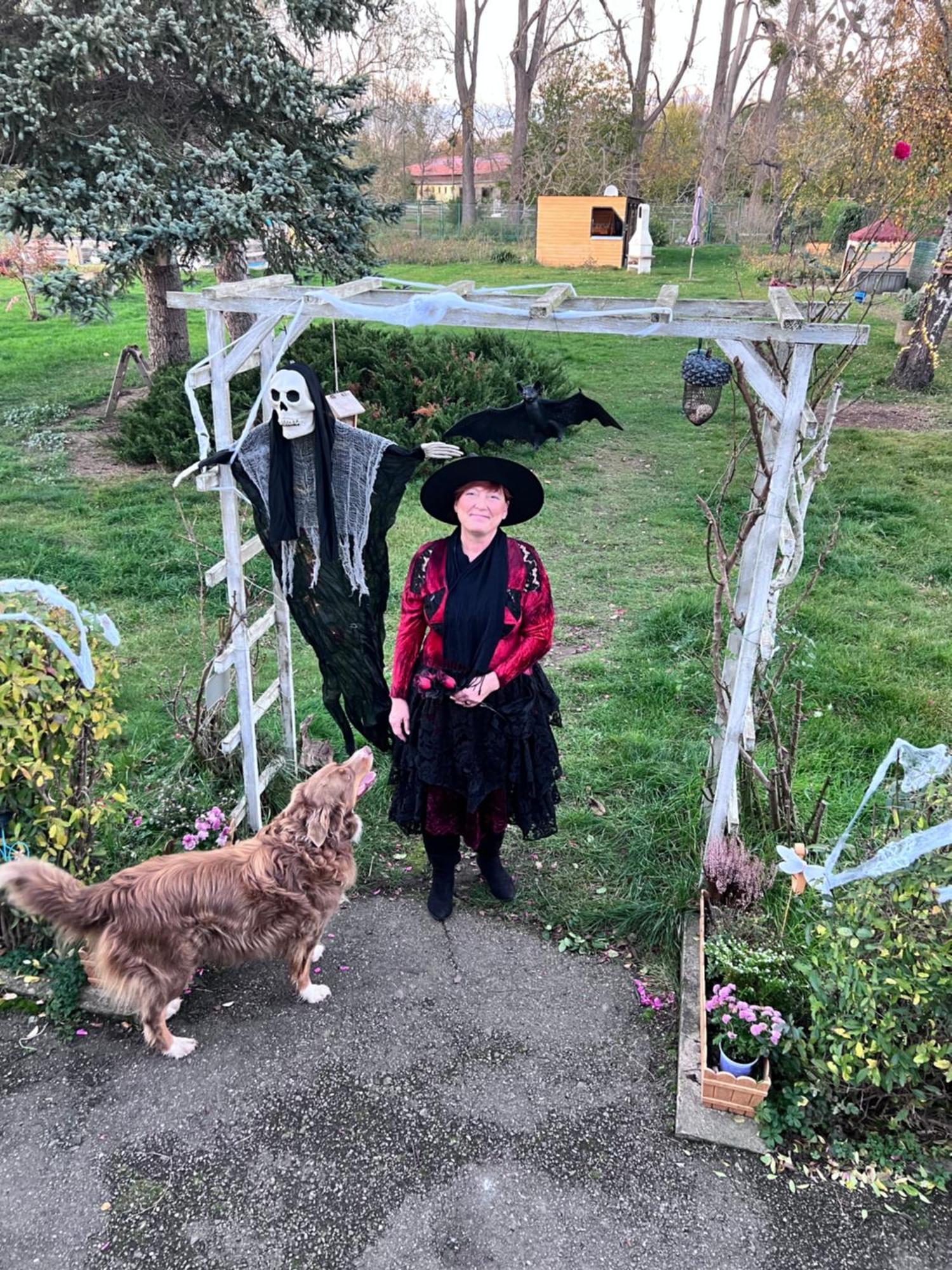 Ferienhaus Am Muehlgraben Thale Exteriör bild