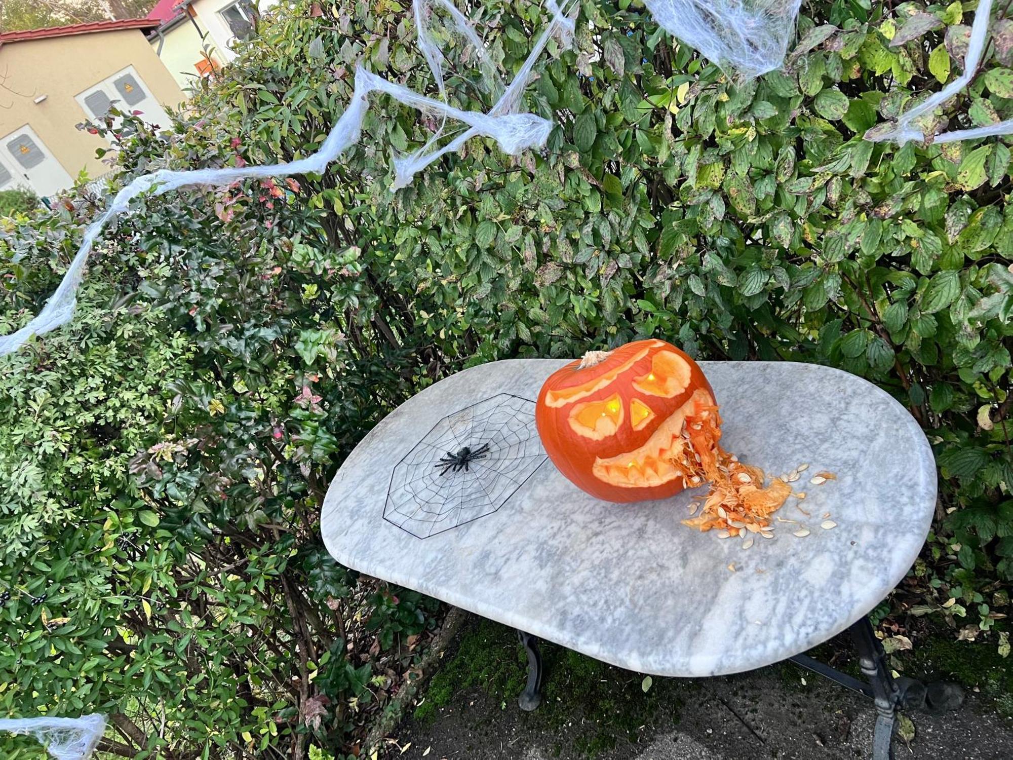Ferienhaus Am Muehlgraben Thale Exteriör bild